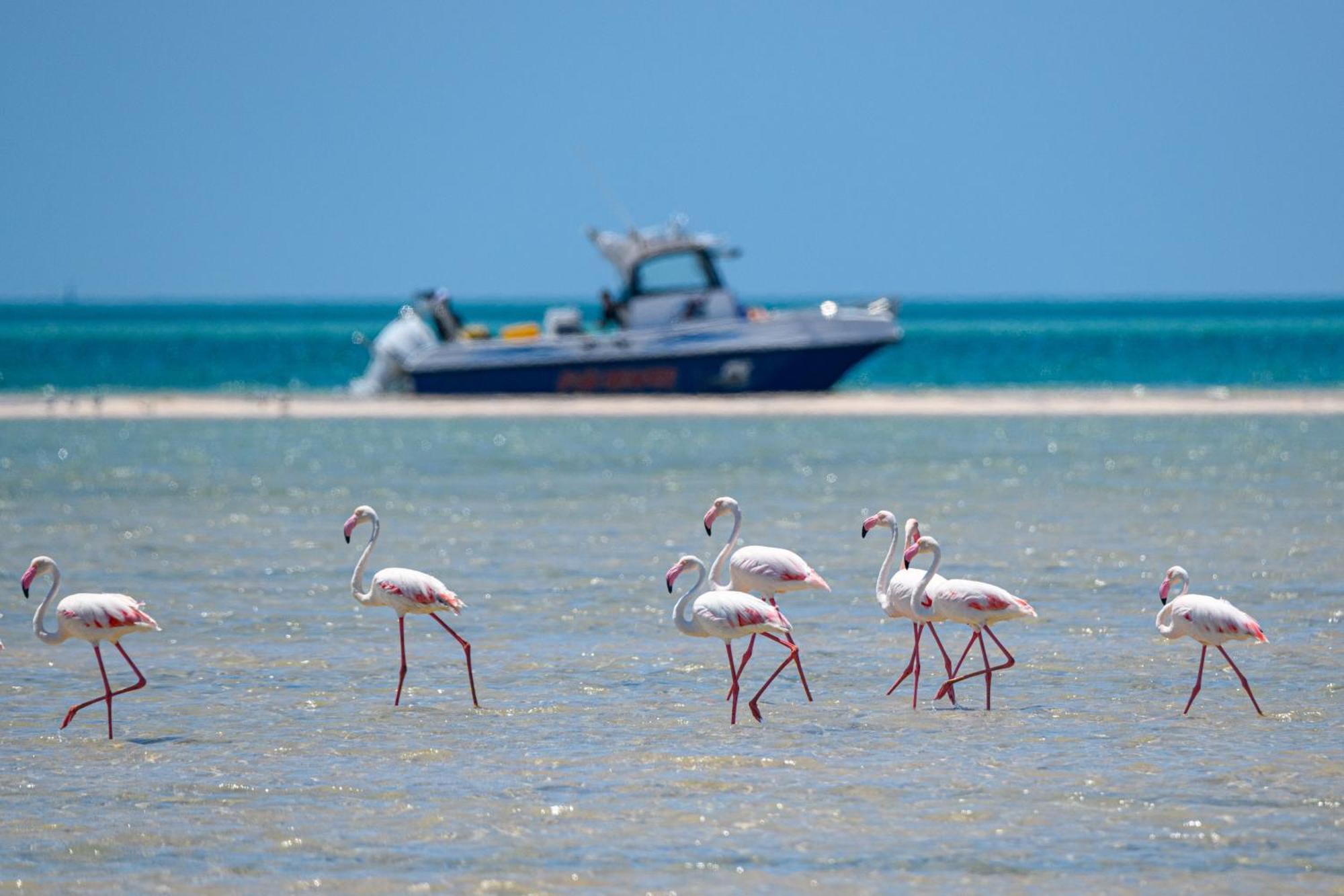 Ocean Pearl Beach Lodge Vilankulo Buitenkant foto